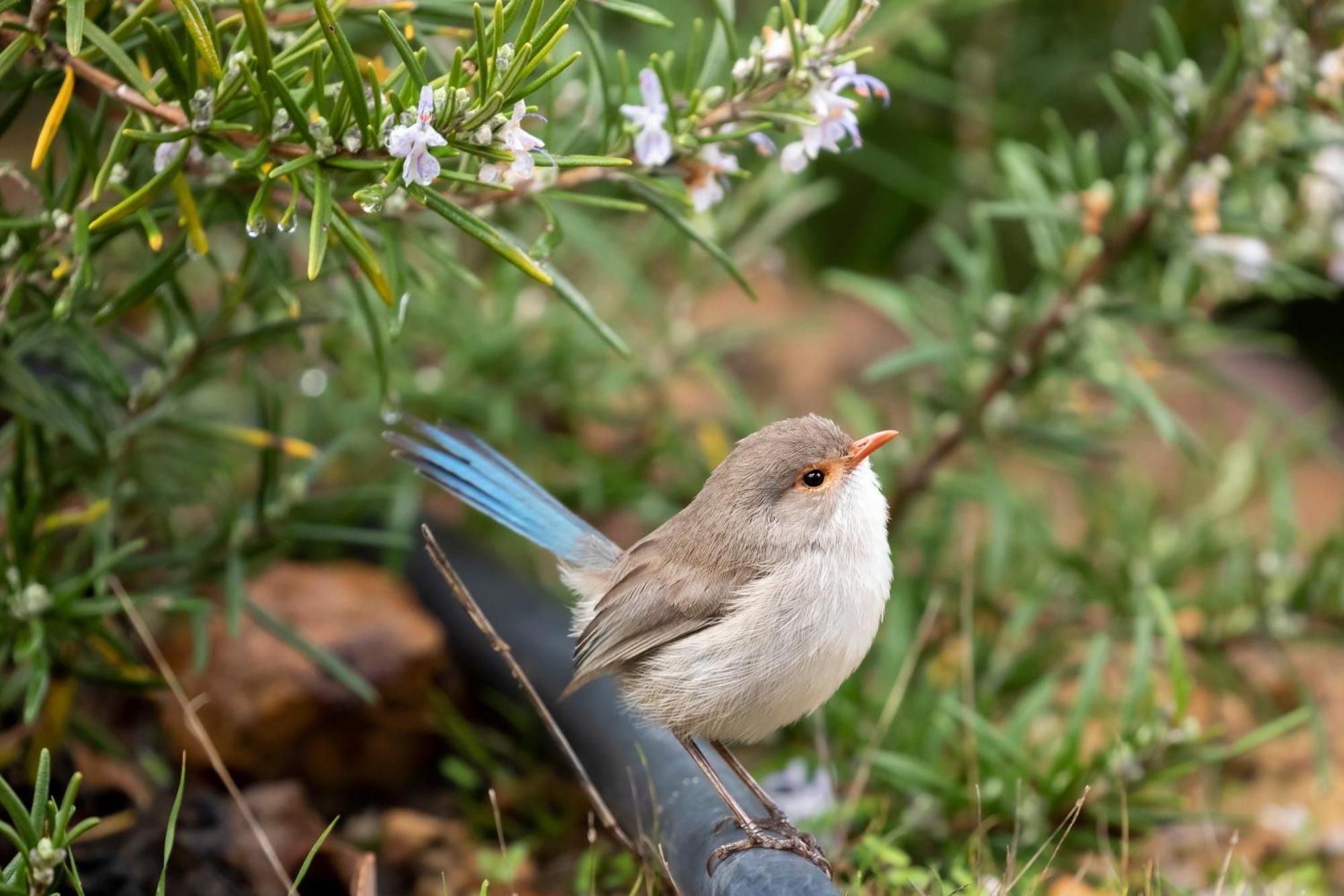 Yelverton Brook Conservation Sanctuary Metricup Dış mekan fotoğraf