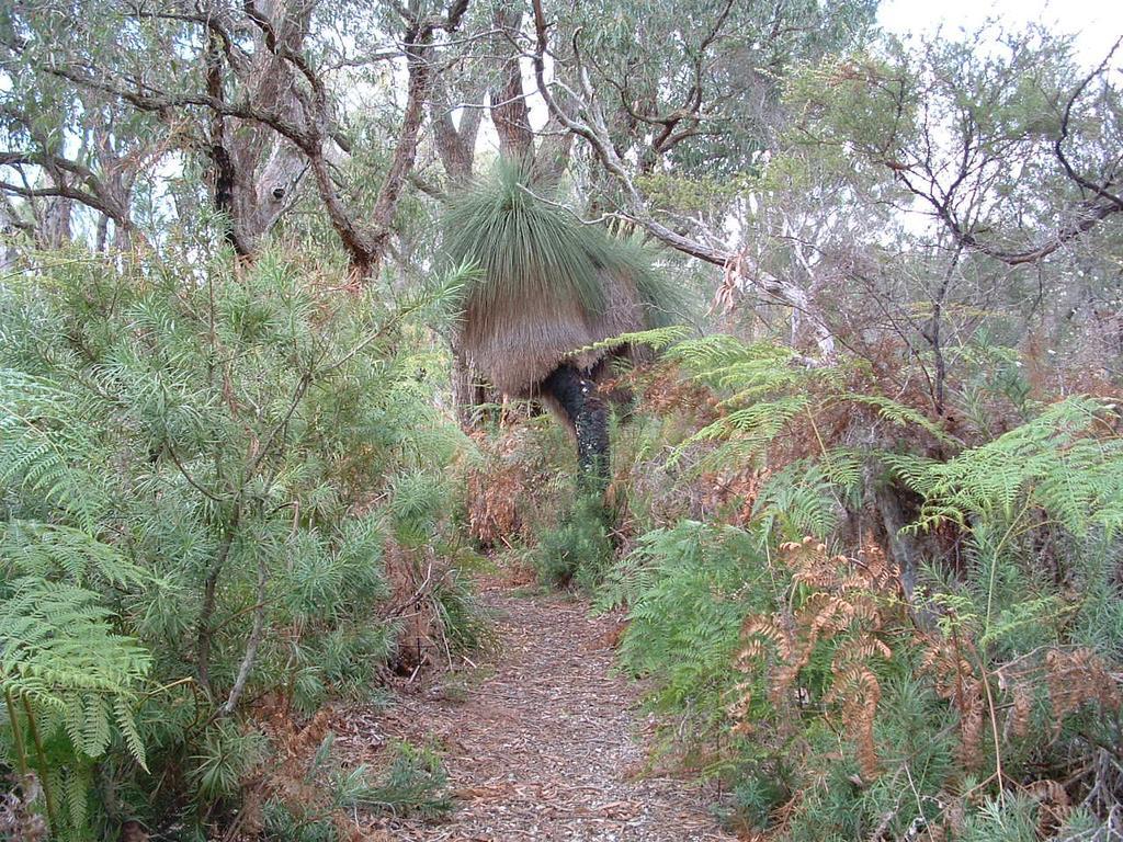 Yelverton Brook Conservation Sanctuary Metricup Dış mekan fotoğraf